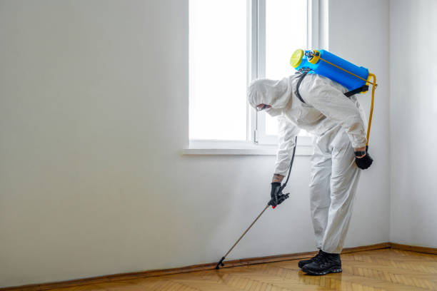 Best Pest Inspection Near Me  in Petersburg, IN